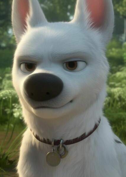 Bolt (Matt Damon) photo