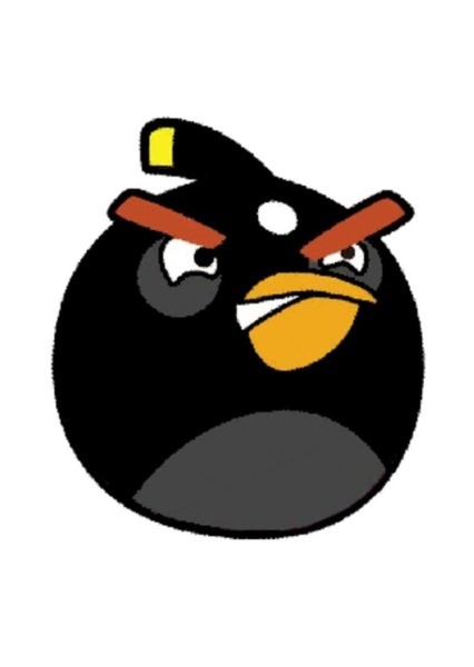 Bomb (Black Bomb Bird) photo
