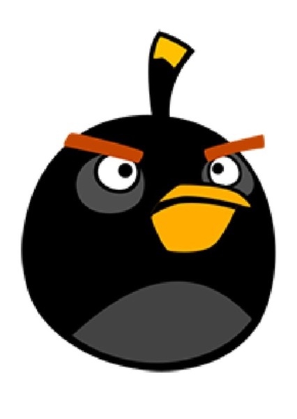 Bomb (Black Bomb Bird) photo
