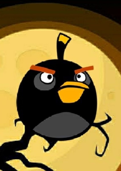 Bomb (Black Bomb Bird) photo