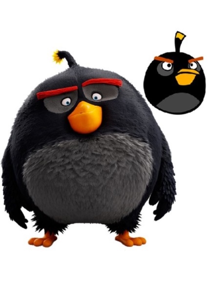 Bomb (Black Bomb Bird) photo