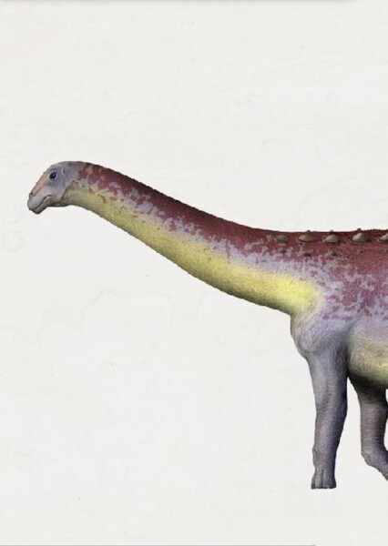 Bonatitan
