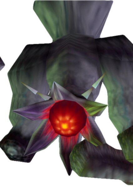 Bongo Bongo photo