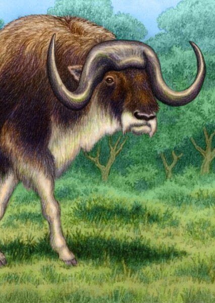 Bootherium