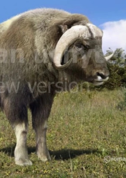 Bootherium