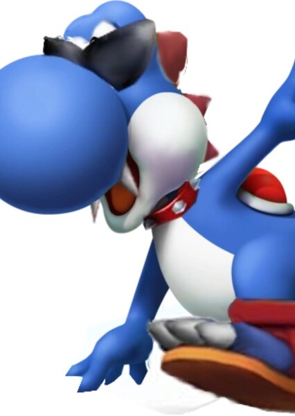 Boshi photo