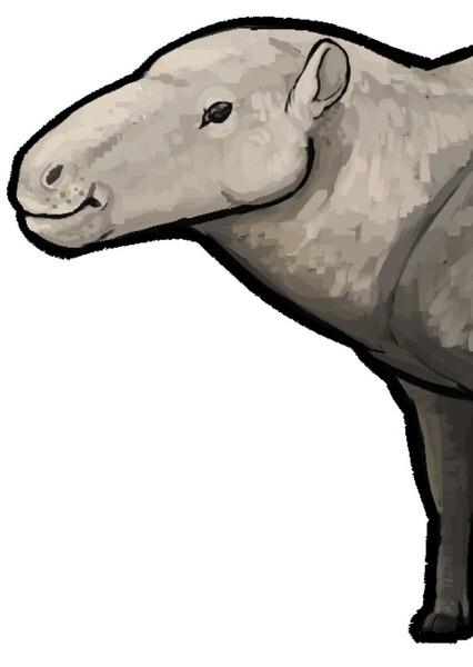 Bothriogenys