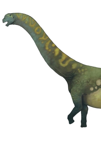 Bothriospondylus