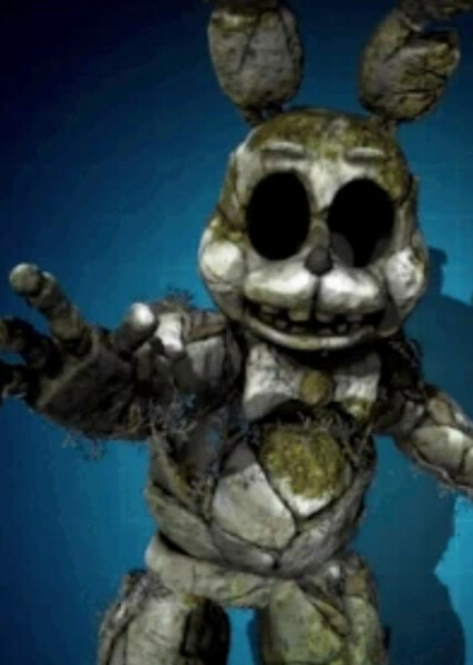 Boulder Toy Bonnie photo