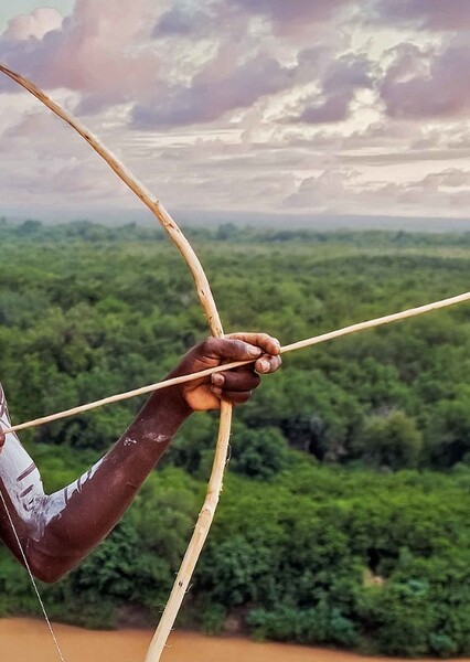 Bow and arrow