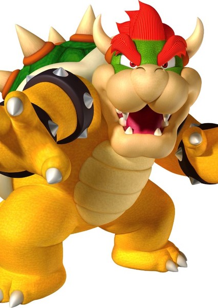 🔥Bowser🔥 photo