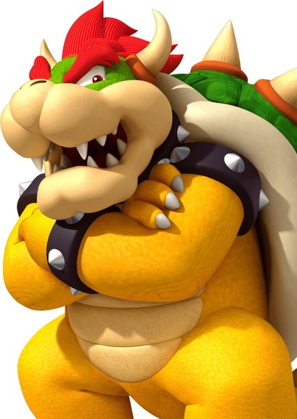 🔥Bowser🔥 photo