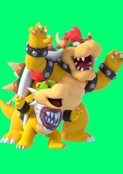 Bowser and Bowser, Jr. photo