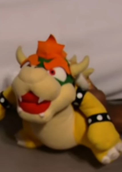 Bowser/Braxton photo
