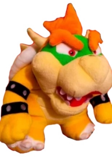 Bowser/Braxton photo