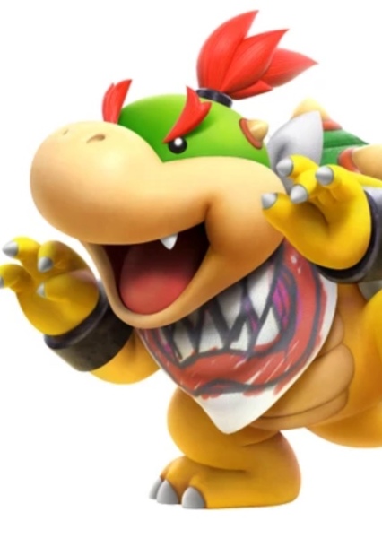 Prince Bowser Koopa Jr.
