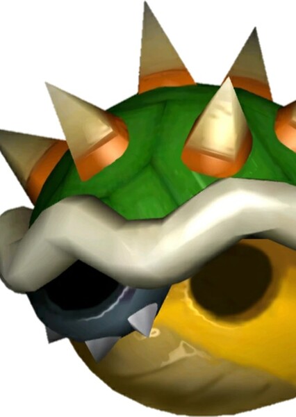 Bowser Shell
