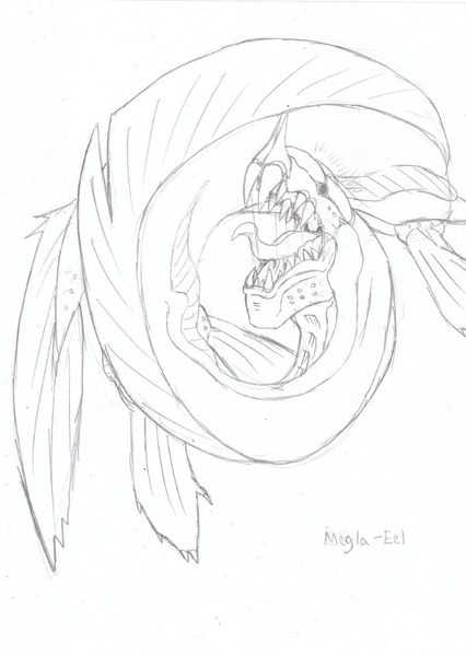 BR Megla-Eel