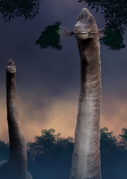 Brachiosaurus photo