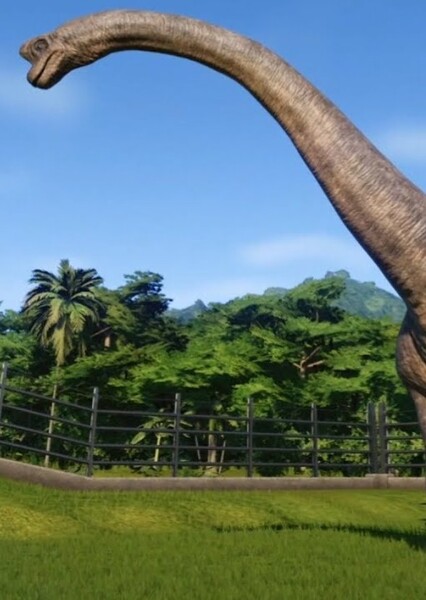 Brachiosaurus photo