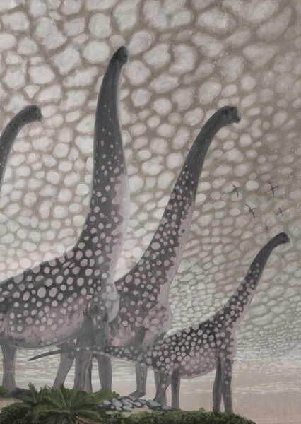 Brachiosaurus photo