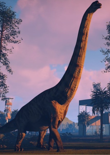 Brachiosaurus photo