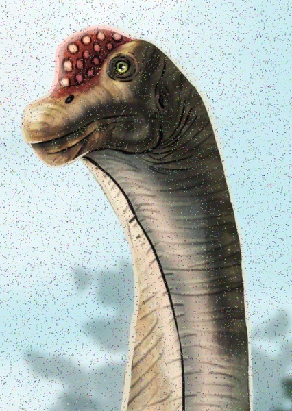 Brachiosaurus photo
