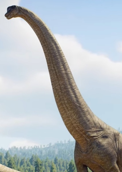 Brachiosaurus photo