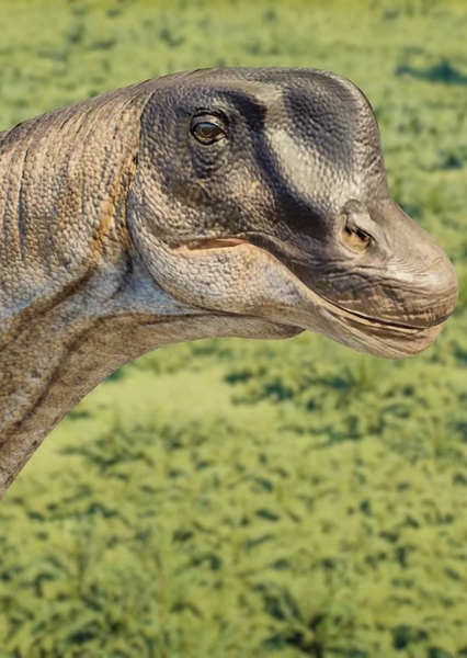 Brachiosaurus photo