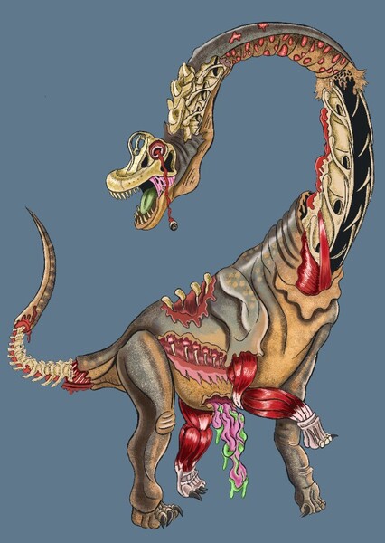 Brachiosaurus photo