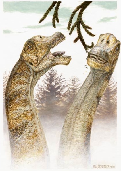 Brachiosaurus photo
