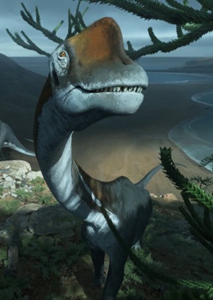 Brachiosaurus photo