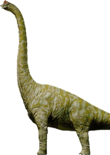 Brachiosaurus (Jurassic Park) photo