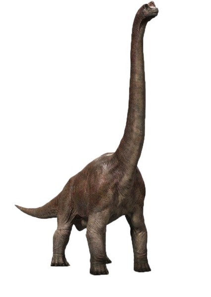 Brachiosaurus (Jurassic Park) photo