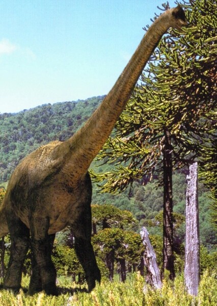 Brachiosaurus (Walking With Dinosaurs)