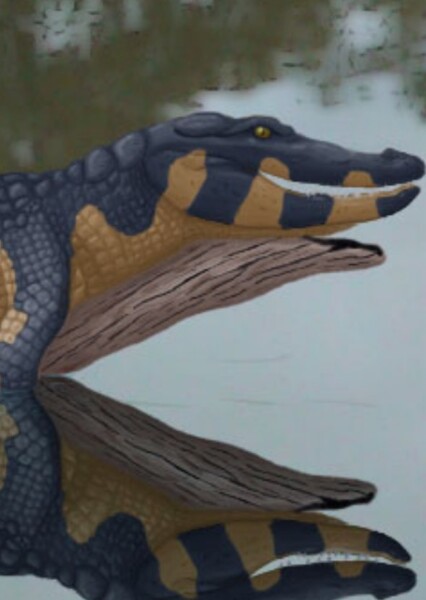 Brachychampsa photo