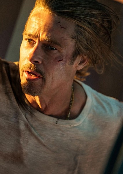 Brad Pitt photo