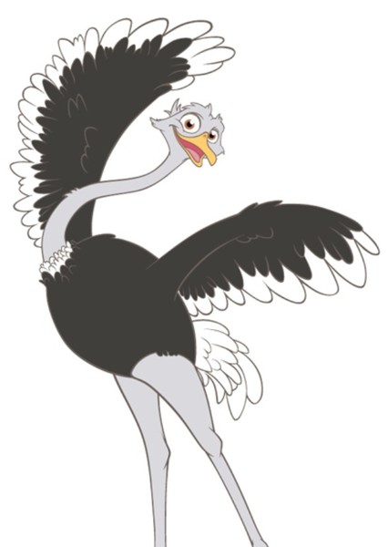 Bradley the Ostrich photo