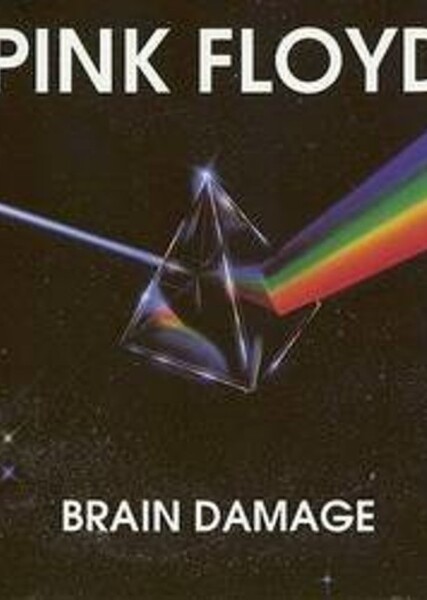 Brain Damage photo