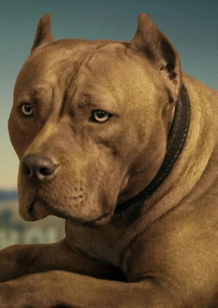 Brandy (Once Upon a Time... in Hollywood)