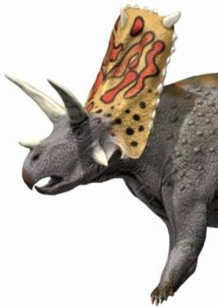 Bravoceratops photo