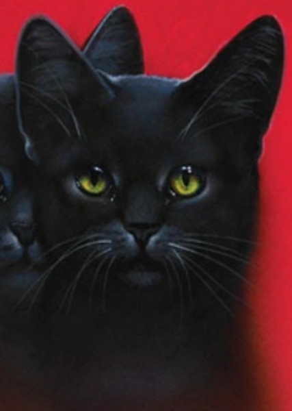 Breezepelt (Warrior Cats) photo