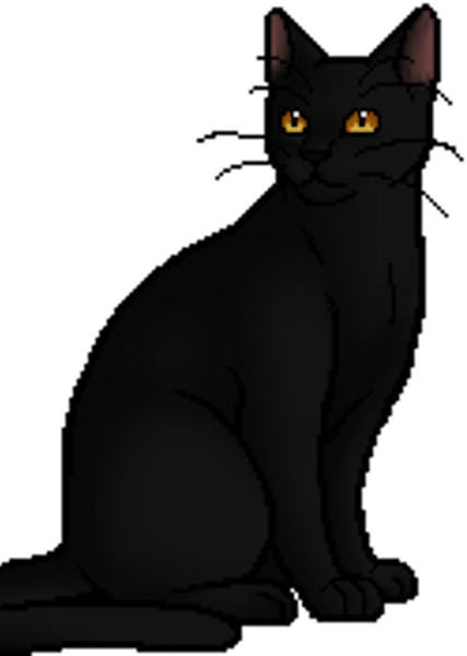 Breezepelt (Warrior Cats) photo
