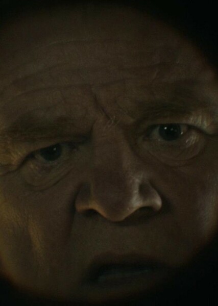 Brendan Gleeson photo