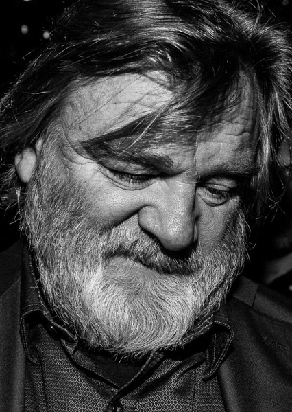Brendan Gleeson photo