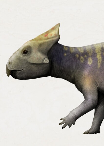Breviceratops
