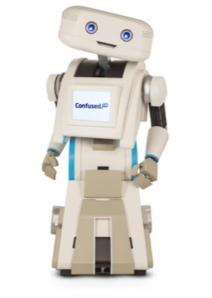 BRIAN the Robot