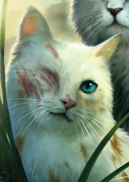 Brightheart (Warrior Cats) photo