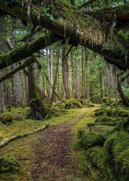 British Columbia photo