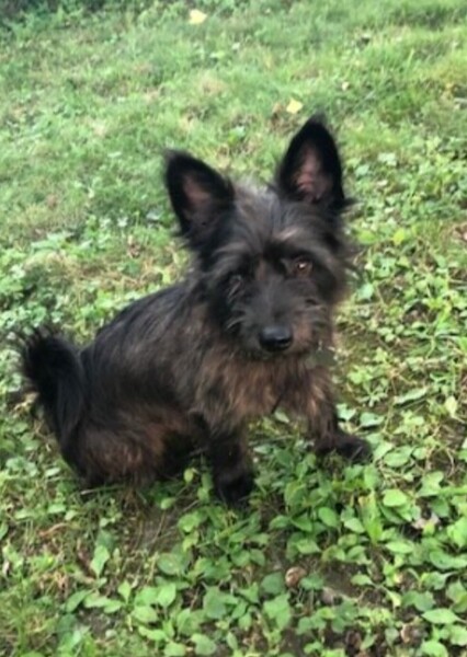 Brody photo